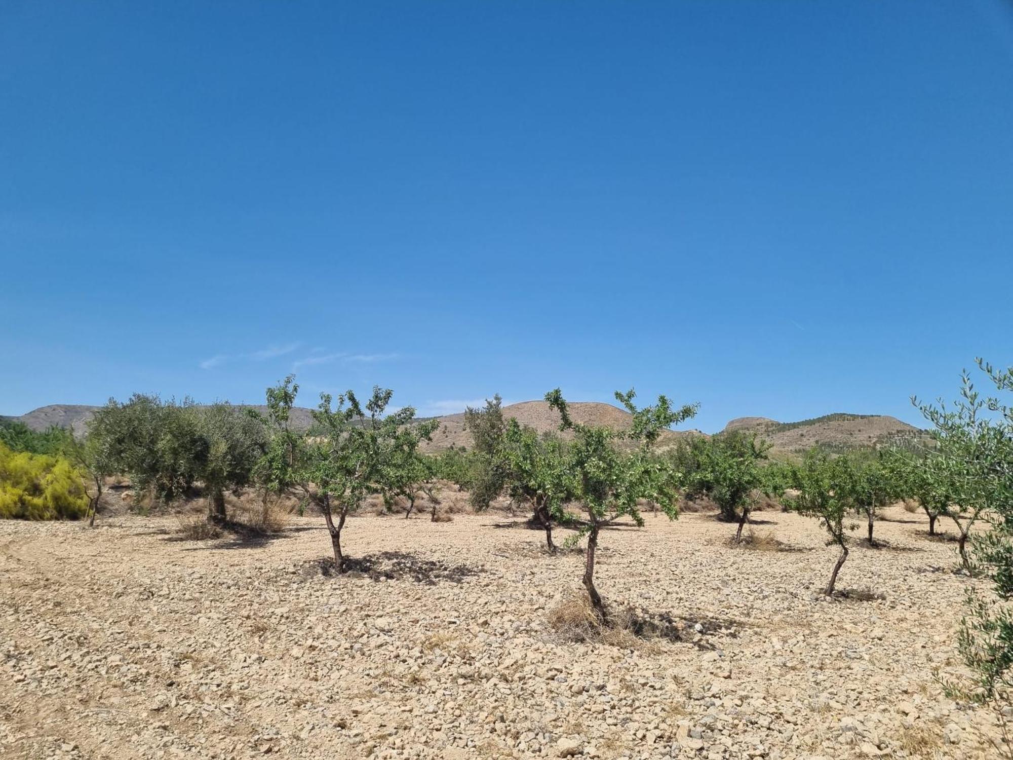 B&B Casa Blanca Oria Εξωτερικό φωτογραφία